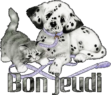 bon jeudi à tous !!